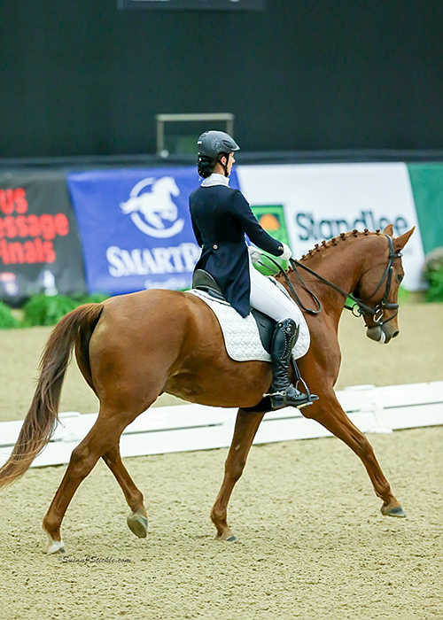 Red Diamond-US Dressage Finals 2015 