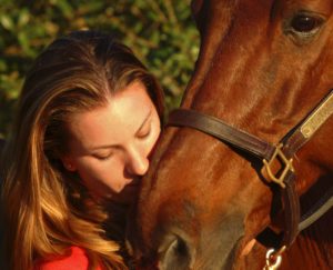 Tango- Holsteiner gelding by Contango Grand Prix Region 3 Champion 2005