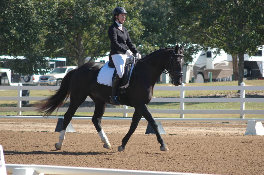 Le Salvo and Susannah Hamlin - Region 3 Training Level Champ class